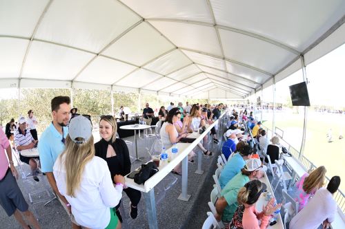 Hoffmann wine Bar View